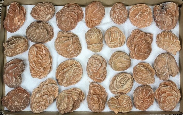 Flat: Desert Roses From Morocco ( to ) - Pieces #82748